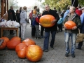 Soutěž o největší dýni ve Břehách