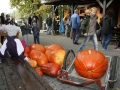 Soutěž o největší dýni ve Břehách