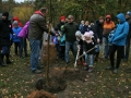 Vysazení lípy svobody ve Břehách